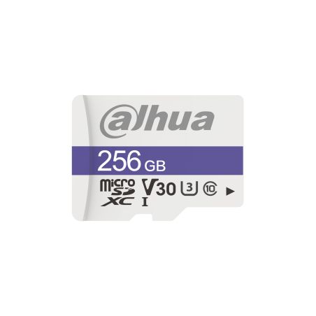 Dahua Technology C100 256 GB MicroSDXC UHS Clase 10