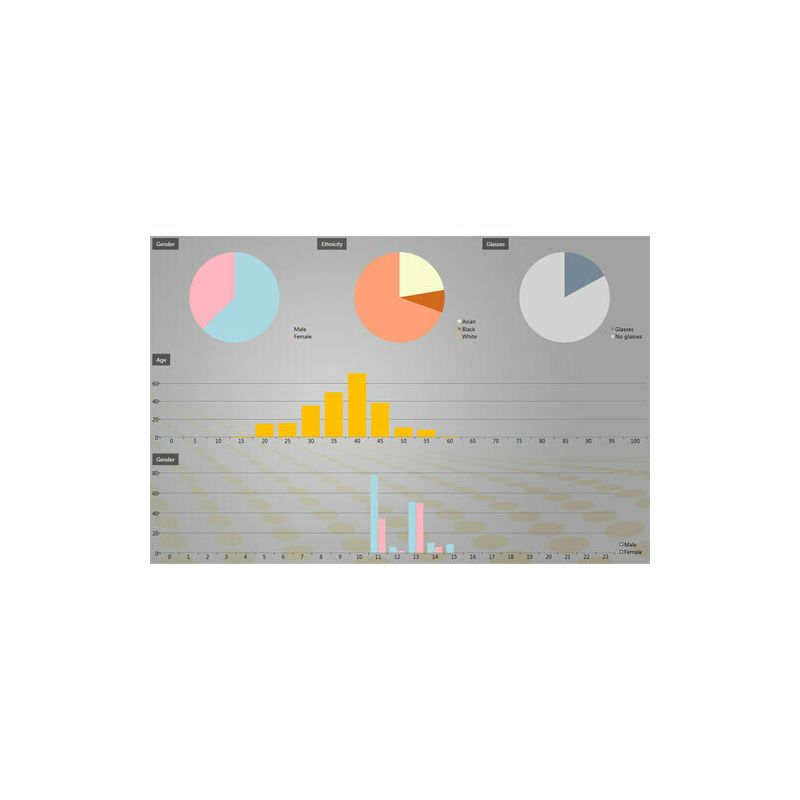 Herta BIOMARKETING HERTA. Facial recognition system for marketing