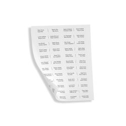 Comelit UT9110 ULTRA CARD HOLDER LABEL SHEETS