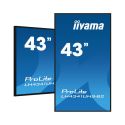 IIYAMA LH4341UHS-B2 iiyama LH4341UHS-B2