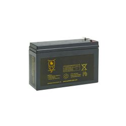 La Chouette BIL001 12 V, 24 Ah LiFePO4 battery with integrated…