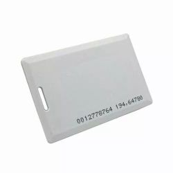 Bysecur EN125NUMERADA EM125khz proximity card numbered with slot