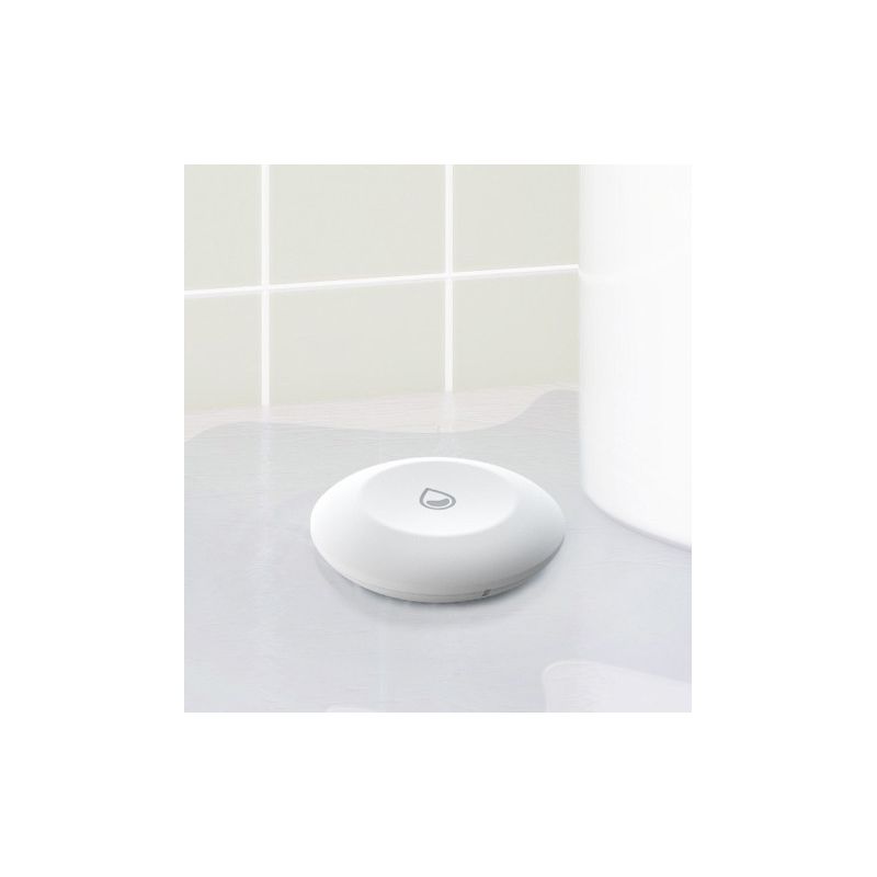 EZVIZ CS-T10C-A0-BG No one likes to be faced with a soaked basement or a flooded kitchen