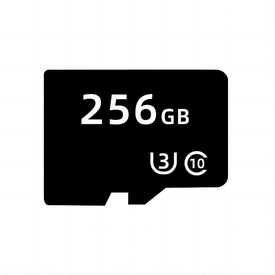 CSMR SD-CCTV-256GB CSMR