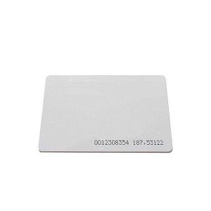 Bysecur EN125NUMERADASR EM125khz proximity card numbered without slot